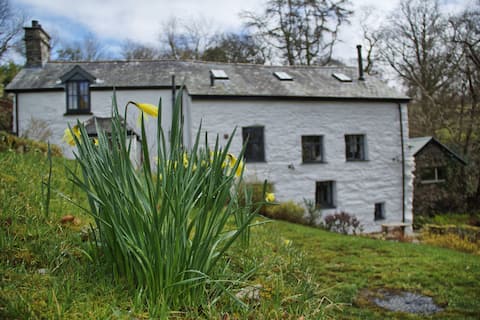 Pandy: an historic mill in Snowdonia National Park