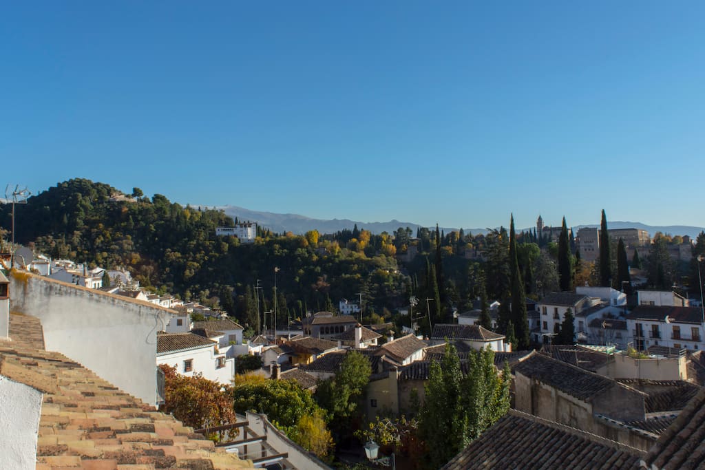 Top terrace view