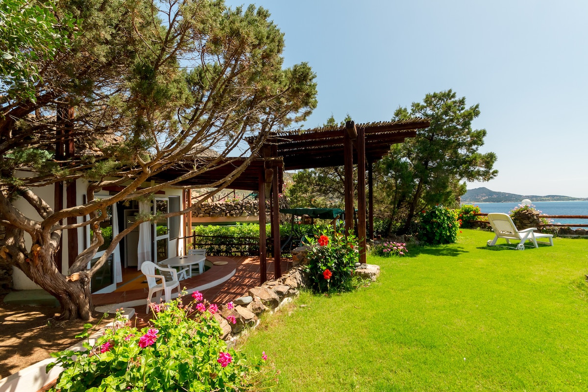 A charming outdoor area features a wooden pergola providing shade, while comfortable lounge chairs are positioned on a green lawn. Lush flowering plants add vibrant colors, and glimpses of the blue sea can be seen in the background, creating a serene natural setting.