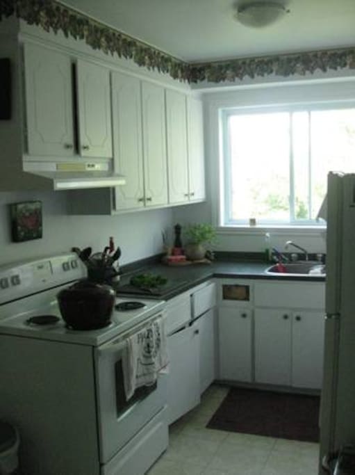 Everything you need is in the kitchen! Juicer, blender, food processor! Cook away!