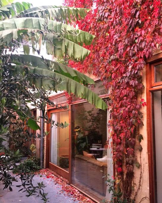 Autumn view of the house