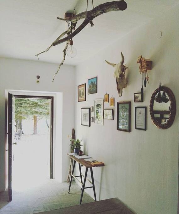ingresso