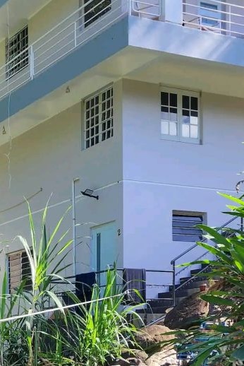 The exterior of the lower-level studio apartment is shown, featuring a light-colored facade and large windows that enhance natural light. A small stairway leads to the entrance, surrounded by lush greenery, providing a serene connection to the natural surroundings.