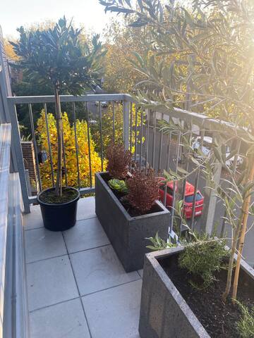 Spacious, light, top level apartment near St Kilda gallery image 4