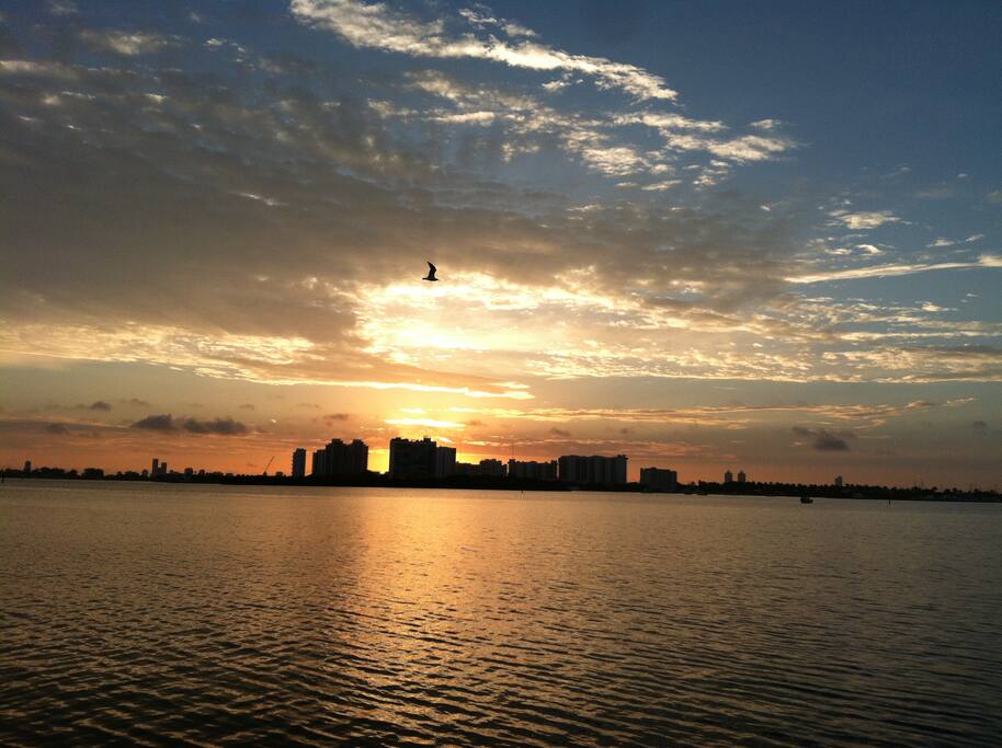 The view of the SUNRISE from the Backyard