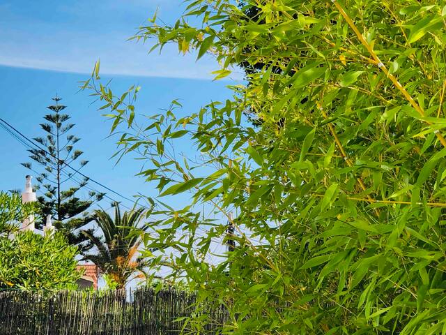 Aloha Beach House 3 Bedrooms in Parede Cascais gallery image 2