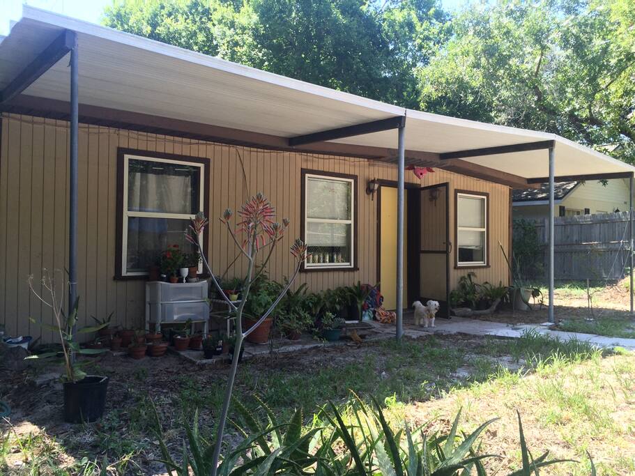 Outside view of front of house and plants!