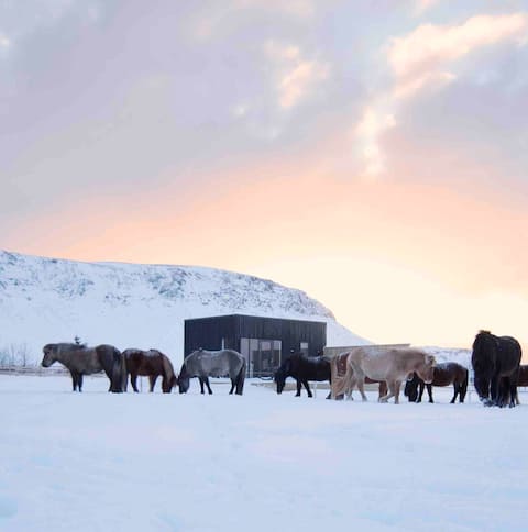 Akurgerði Guesthouse 4. Country Life Style