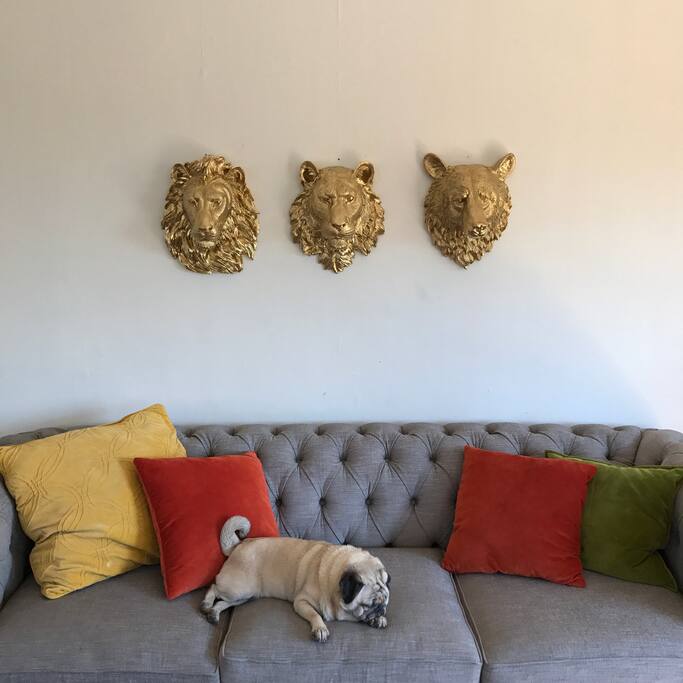 She things she owns the furniture, she's good at sharing though.