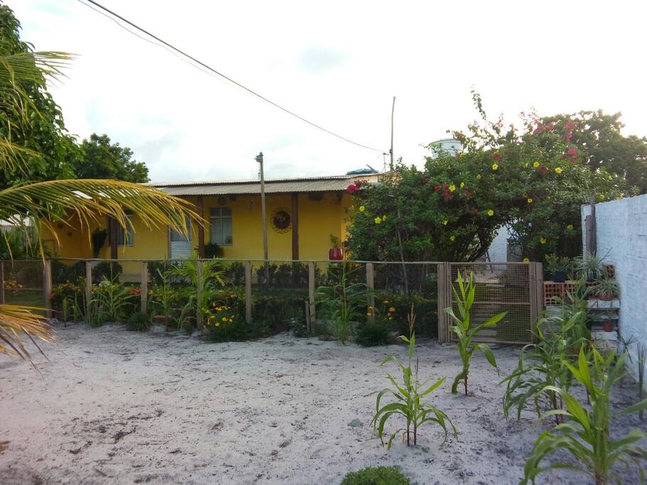 view of the house - vista da casa