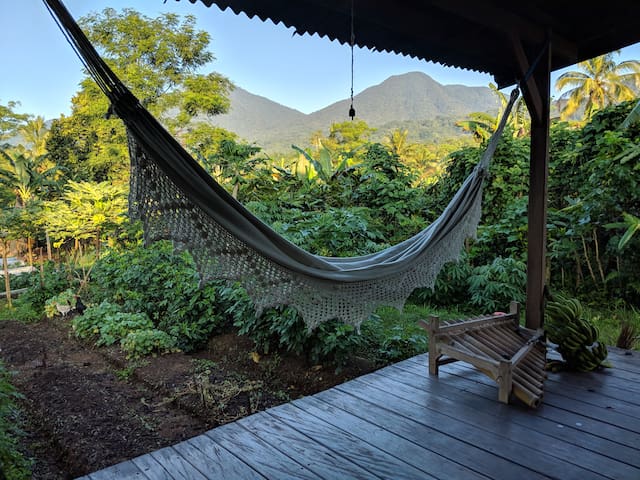 Rumah Joglo & Organic Garden