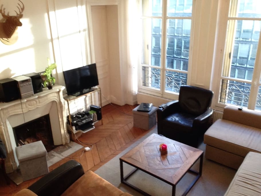 Salon - Living room