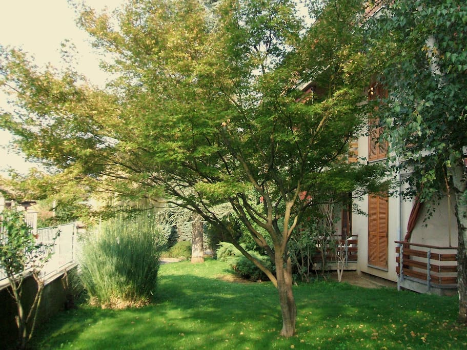 giardino fronte casa