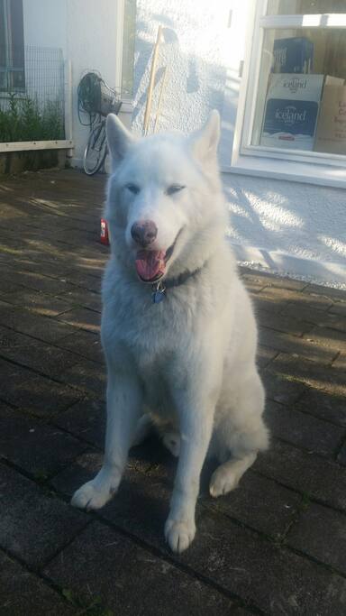 This is Bobby
