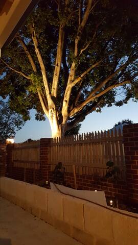 4 bed luxury home Victoria Park Central. gallery image 2