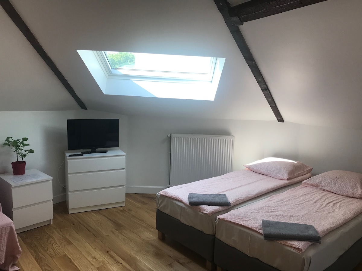 Successful Airbnb property: Charming Studio for 2 to 4 people, Porte de Paris in Le Pré Saint Gervais