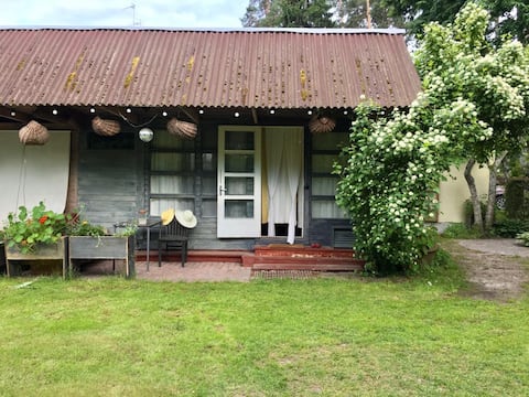A Pioneer  green yard house