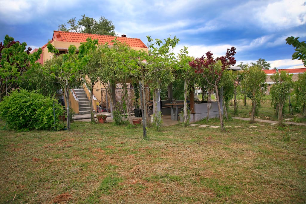 Garden and house, back view