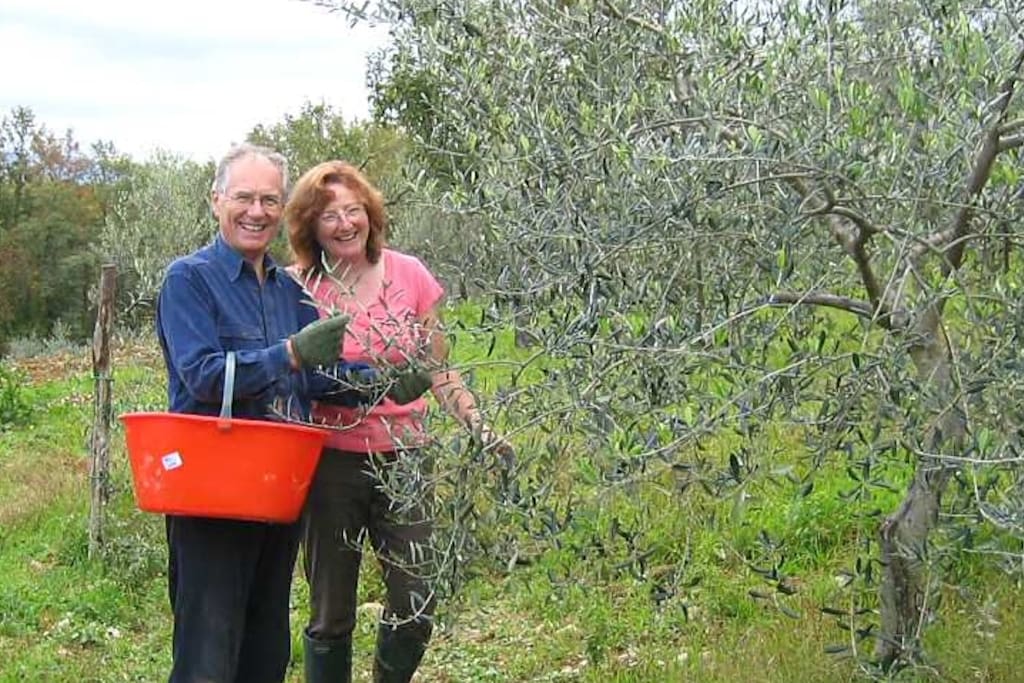 Owners Nigel and Deborah picking olives