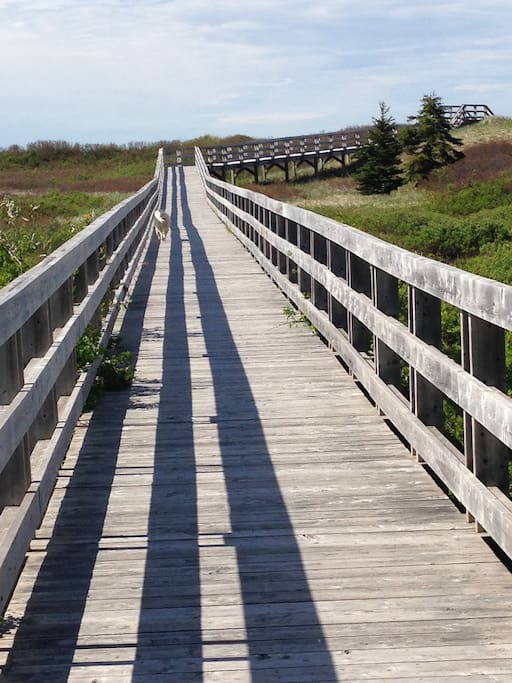 Boardwalk to Beach