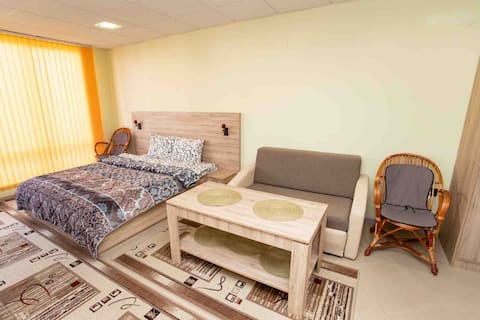 Specious Studio Apartment in the city center