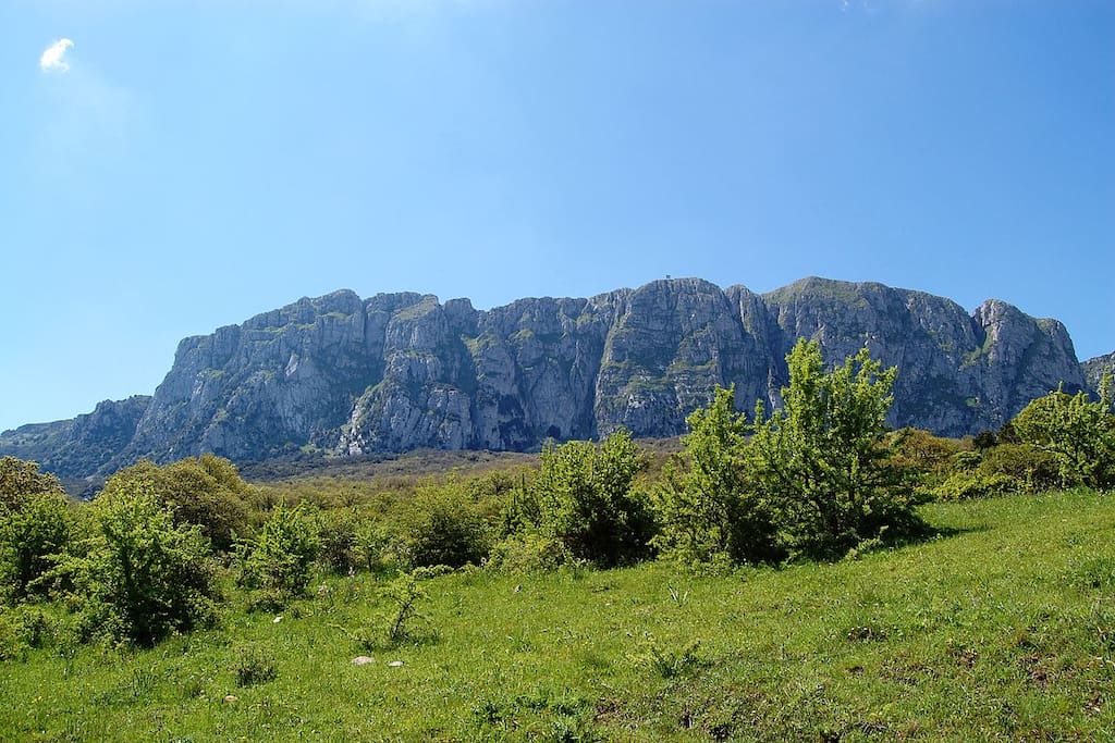 La Riserva naturale del Bosco della Ficuzza (distanza 10 km)