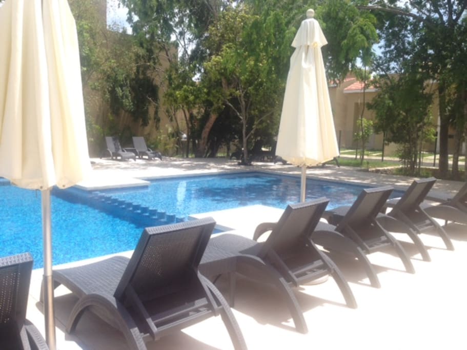 Swimming Pool Area