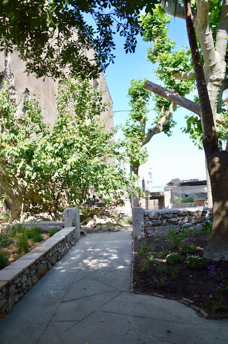 jardin