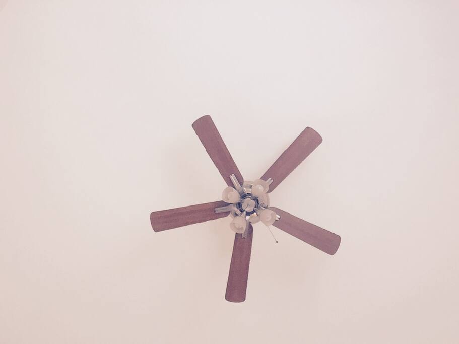 Ventilador de techo, también cuenta con aire acondicionado.
