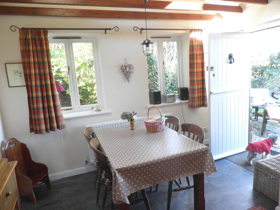 The kitchen/dining room, with random schnauzer.