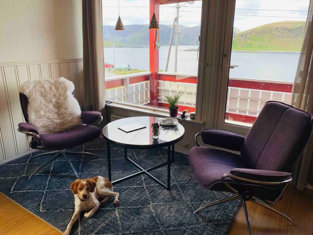 Kamøyvær- Cabo Norte Bed & Breakfast