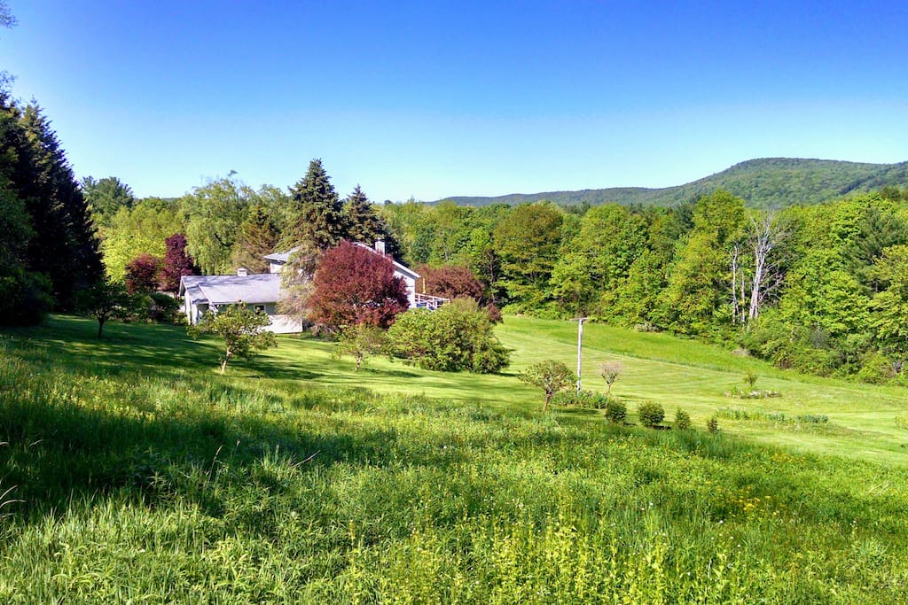 Sublime Berkshire views