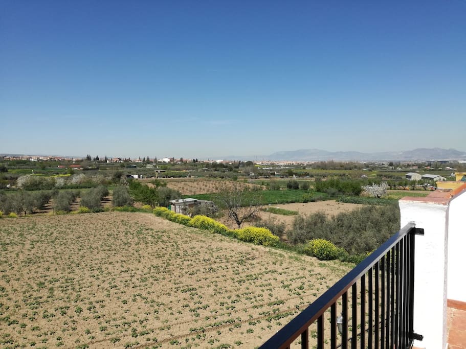 Vistas terrazas.