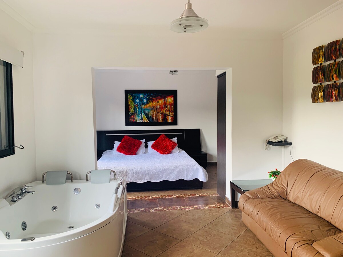 A spacious room features a large bed adorned with red decorative pillows. A comfortable brown sofa is positioned beside a sleek glass table. A stylish art piece is displayed on the wall, and a modern jacuzzi tub is located nearby.