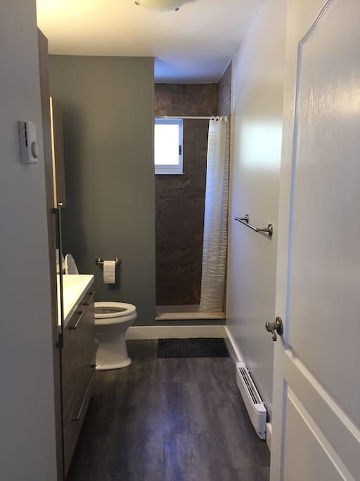 Main floor bathroom with full shower