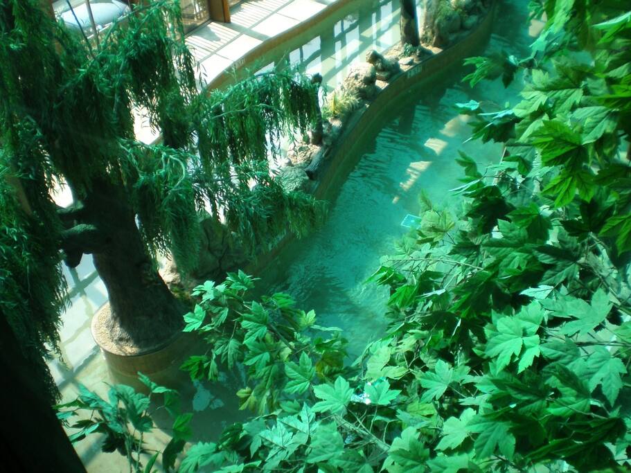 Indoor Waterpark