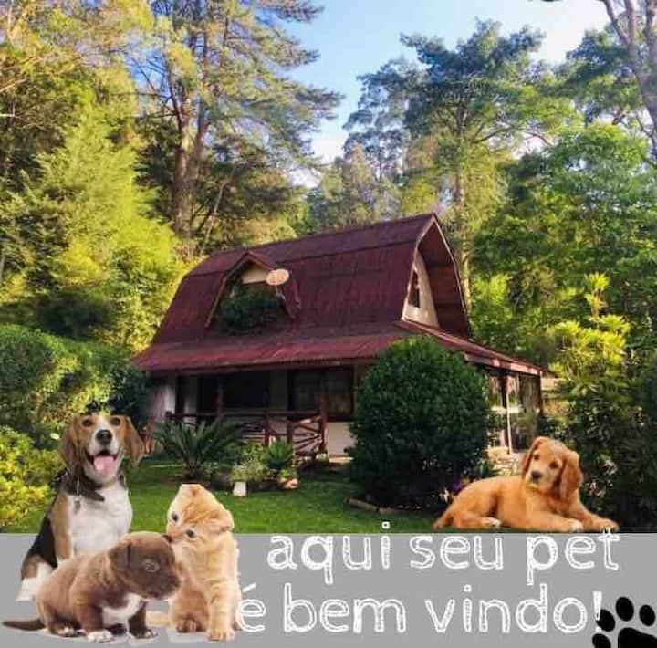 casa en el bosque casa en el bosque