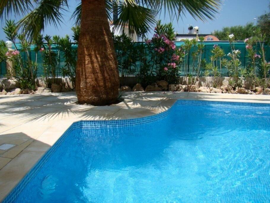 Pool in the villa