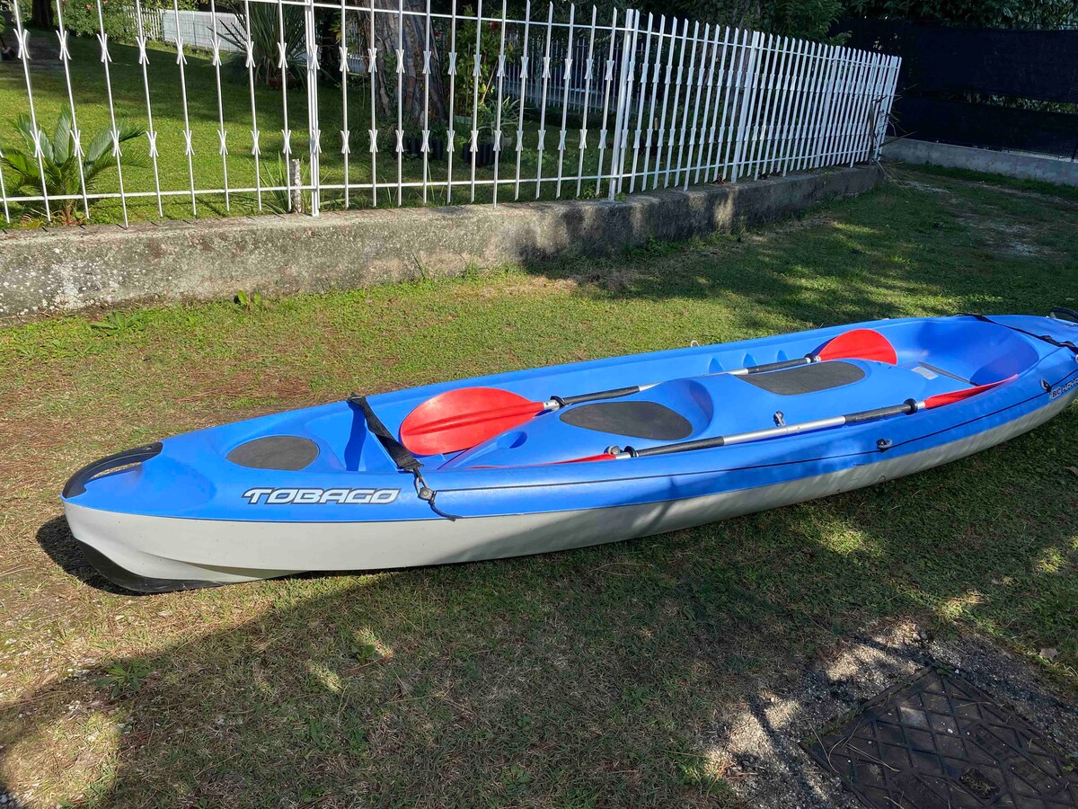 A bright blue kayak is positioned on lush green grass, featuring two red seating areas in its interior. The kayak is prominently displayed, with a white fence providing a contrasting background in the distance.
