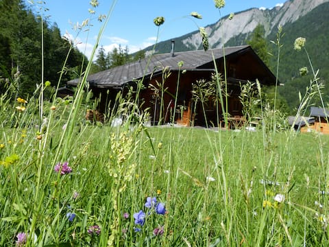 Top performing Airbnb: The Chalet des Planereuses in Praz de Fort in Valais in Orsières
