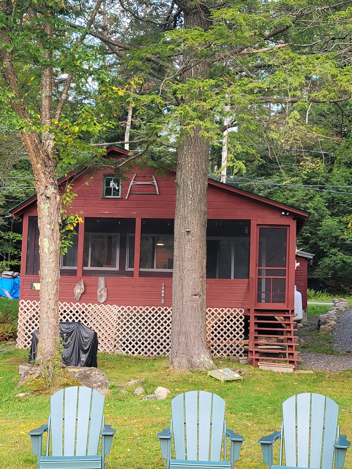 The cabin features a red exterior with a screened porch and a staircase leading to the entrance. A spacious lawn area includes four blue Adirondack chairs arranged in front of the cabin, surrounded by trees and a gravel path.