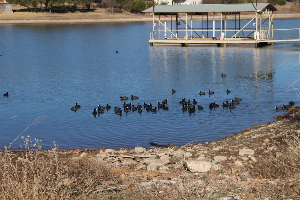 If you head to the pavilion, be sure to bring lots of bread for the visiting ducks!