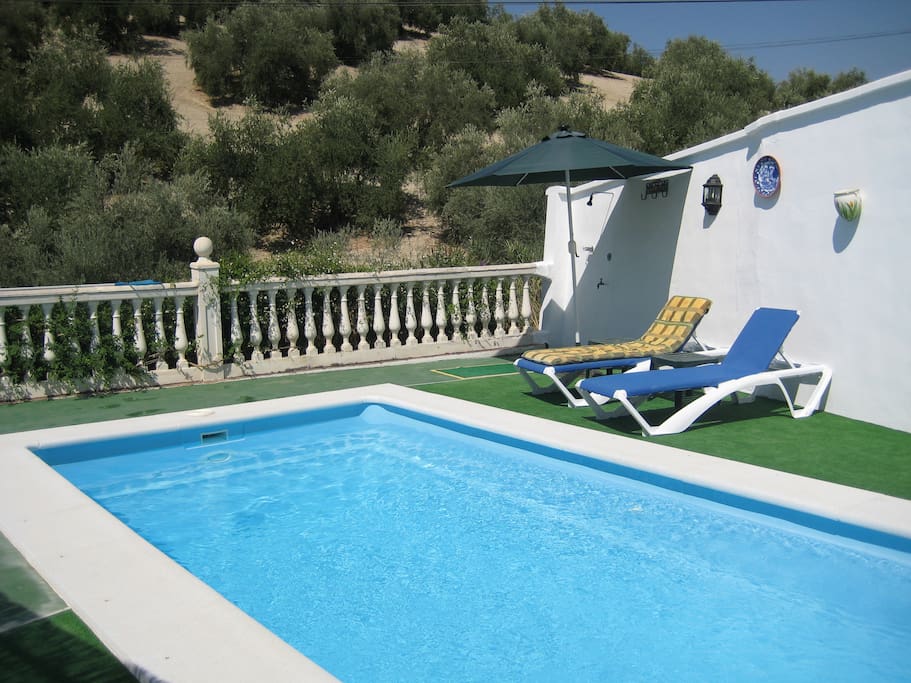 Poolside loungers