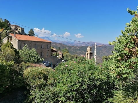 Under the olive trees
