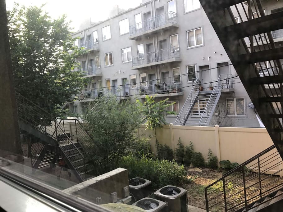 Backyard - view from the room