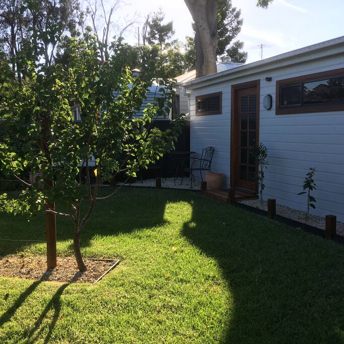The Pear tree