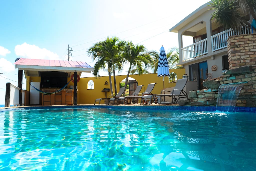 When the horses drink from the pool, this is their view.
