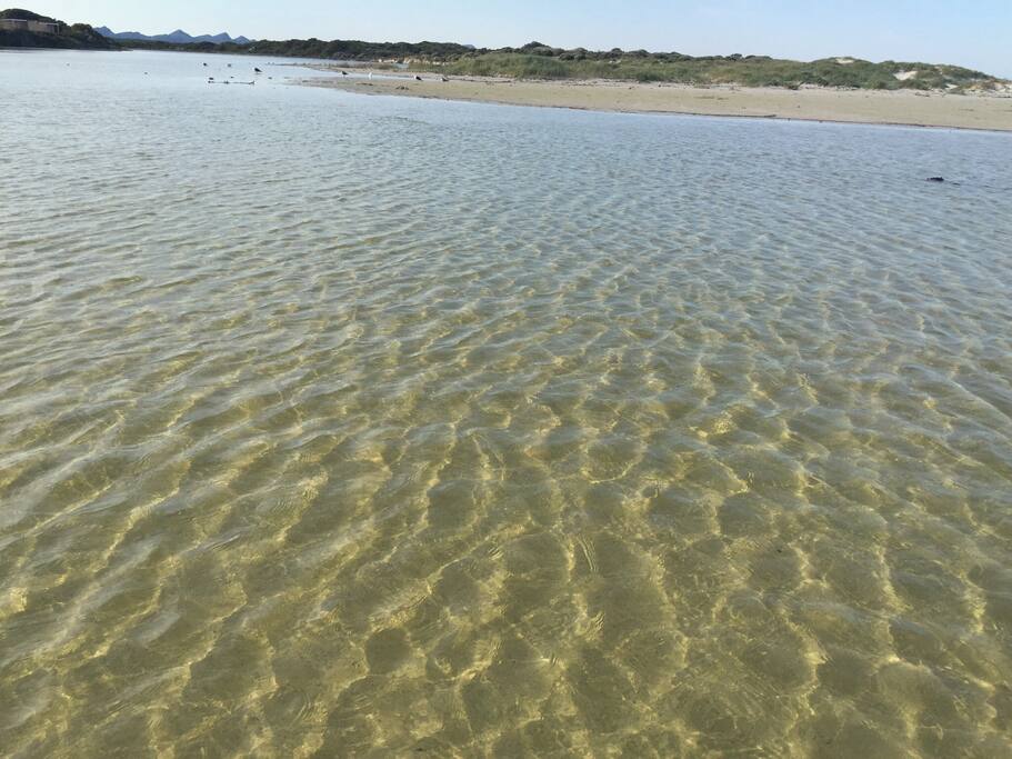 At the lagoon