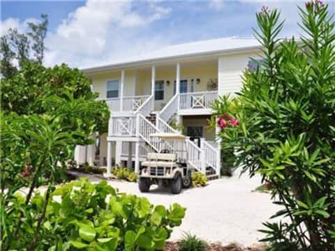 Bananaquit  with private pool
