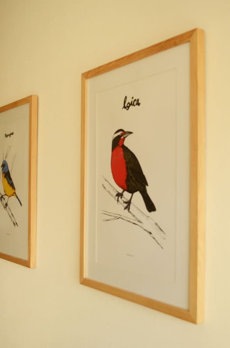 Decoración